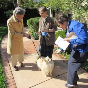Blessing Of The Animals Action Shot