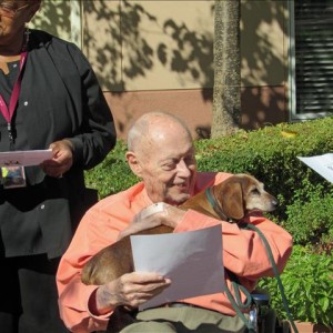 Blessing Of The Animals Wheelchair