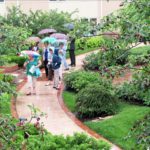 Garden_Party_1