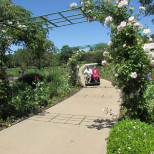 BSP residents visit the Arboretum